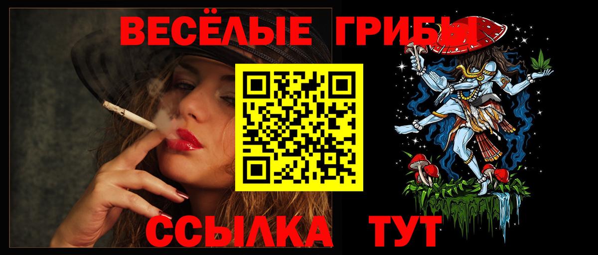 Гусиноозёрск  Псилоцибиновые грибы мухоморы  Вход с VPN 